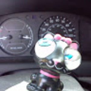 Meet your Posher, Diane